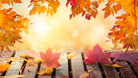 Colorful autumn leaves in sunny day background, wooden table, fallen leavesの写真素材