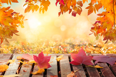 Colorful autumn leaves in sunny day background, wooden table, fallen leavesの写真素材