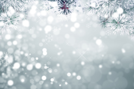 Winter background, falling snowの写真素材