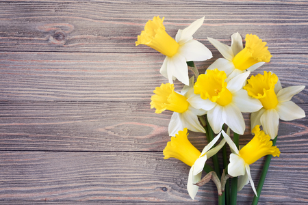Daffodils flowers on wooden backgroundの写真素材