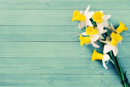 Daffodils flowers on wooden backgroundの写真素材