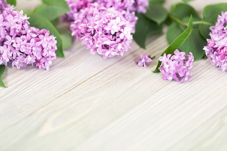 Purple lilac flowers on wooden table backgroundの写真素材