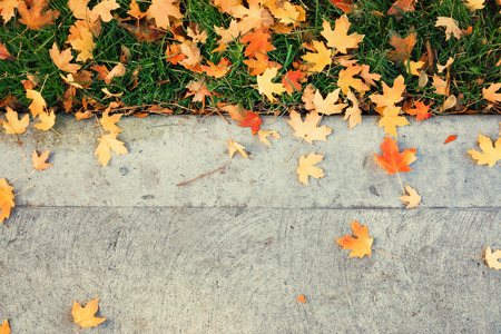Colorful autumn leaves on the groundの写真素材