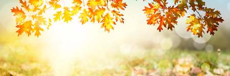 Colorful autumn sunset background