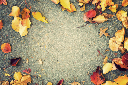 Multi colored autumn leaves border
