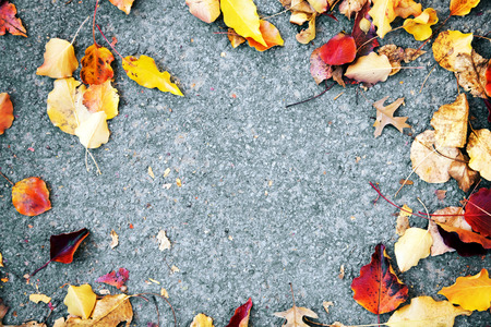 Autumn leaves borderの写真素材