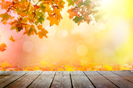 Multi colored autumn leaves over wooden deck backgroundの写真素材
