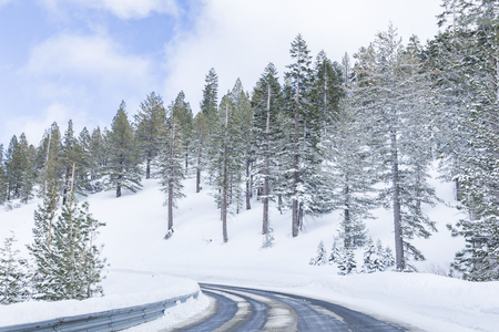 Icy mountain road through forest in winterの写真素材