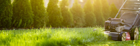 Lawn mower cutting green grass