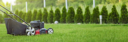 Lawn mower cutting green grass