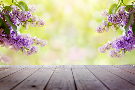 Lilac flowers in the garden over wooden deckの写真素材