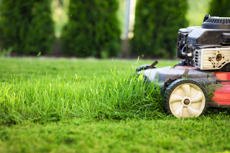 Lawn mower cutting green grassの写真素材