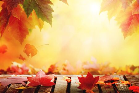 Autumn leaves on wooden table