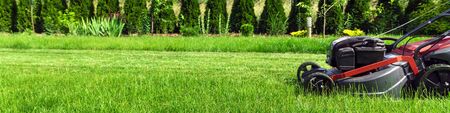 Lawn mower cutting green grass in backyardの写真素材