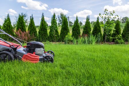 Lawn mower cutting green grass in backyardの写真素材