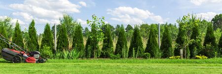 Lawn mower cutting green grass in backyardの写真素材