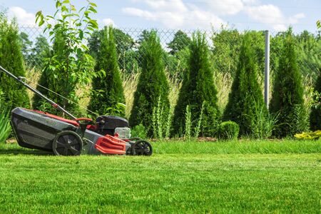 Lawn mower cutting green grass in backyardの写真素材