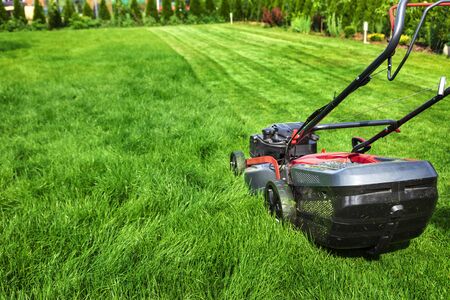 Lawn mower cutting green grass in backyardの写真素材