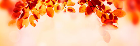 Colorful autumn leaves bokeh backgroundの写真素材