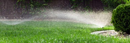 Sprinklers watering grass, green lawn in gardenの写真素材