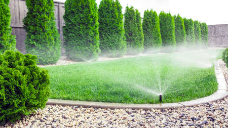 Sprinklers watering lawn, green lawn in gardenの写真素材