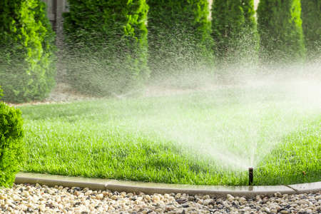 Sprinklers watering lawn, green lawn in gardenの写真素材