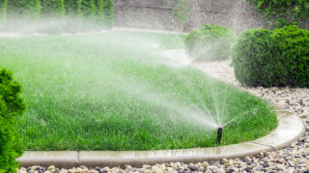 Sprinklers watering lawn, green lawn in gardenの写真素材