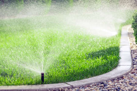 Sprinklers watering lawn, green lawn in gardenの写真素材