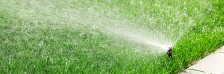 Sprinklers watering lawn, green lawn in gardenの写真素材