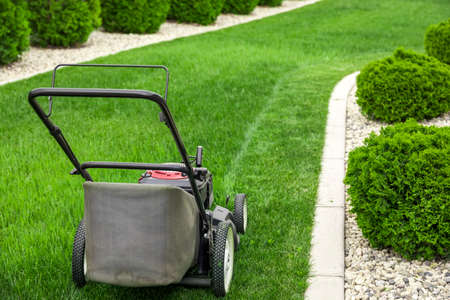 Lawn mower cutting green grass in backyard, mowing lawnの写真素材