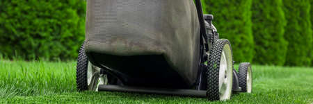 Lawn mower cutting green grass in backyard, mowing lawnの写真素材