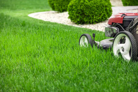 Lawn mower cutting green grass in backyard, mowing lawnの写真素材