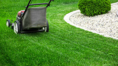 Lawn mower cutting green grass in backyard, mowing lawnの写真素材