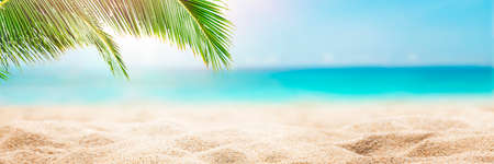 Sunny tropical Caribbean beach with palm trees and turquoise water, Caribbean island vacation, hot summer dayの写真素材
