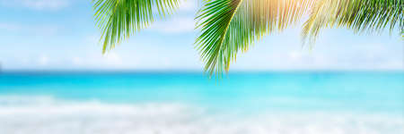 Sunny tropical Caribbean beach with palm trees and turquoise water, Caribbean island vacation, hot summer dayの写真素材