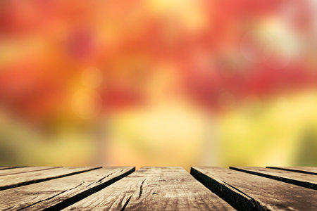 Multicolored leafs in sunny fall afternoon backgroundの写真素材