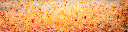 Tree leaves in autumn. Sunny golden backgroundの写真素材