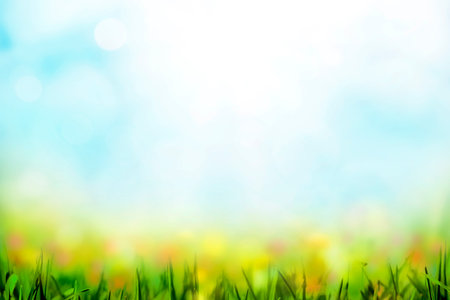 Spring background with grass flowers and bokeh lightsの写真素材