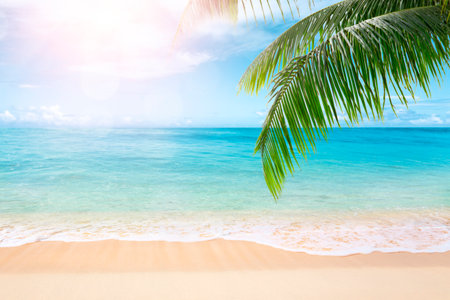 Beautiful tropical beach with coconut palm tree. Summer vacation concept.の写真素材
