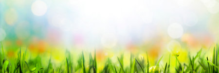 Spring background with grass flowers and bokeh lightsの写真素材