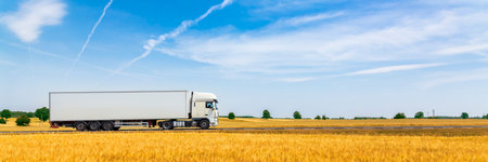 Truck on a wheat field. Panoramic view of a truck on a wheat field.の写真素材