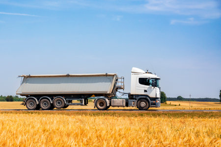 Truck with trailer on the background of wheat field under blue skyの写真素材
