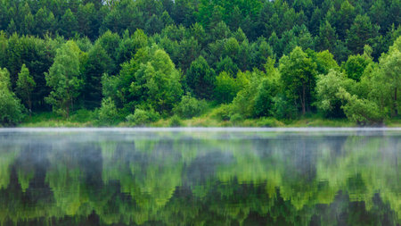 Beautiful summer landscape with forest lake and reflection in water. Panoramaの写真素材