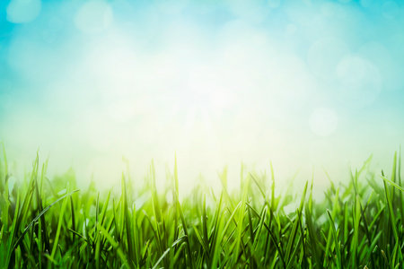 Green grass with bokeh effect on blue sky background. Spring background.の写真素材