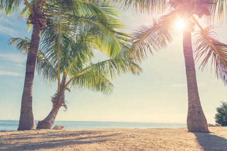 Beautiful tropical beach and sea with coconut palm treeの写真素材