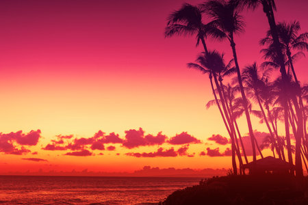 Palm trees silhouettes at sunset on a tropical beach in Hawaiiの写真素材