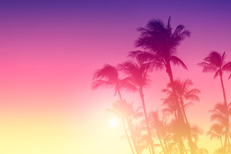 Silhouette of palm tree on sunset sky backgroundの写真素材