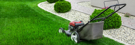 Lawn mower cutting green grass. Gardening equipmentの写真素材