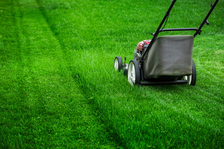 Lawn mower cutting green grass. Gardening equipment. Landscape design.の写真素材