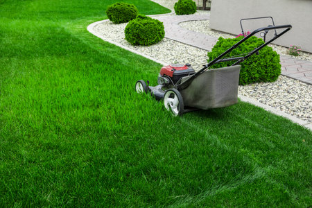 Lawn mower on green grass in garden. Gardening conceptの写真素材